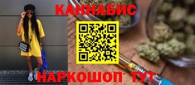 сатива Моздок