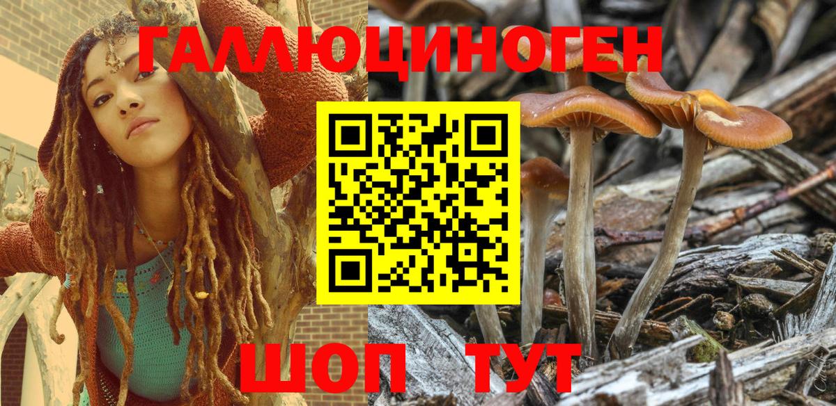 Галлюциногенные грибы MAGIC MUSHROOMS Тула